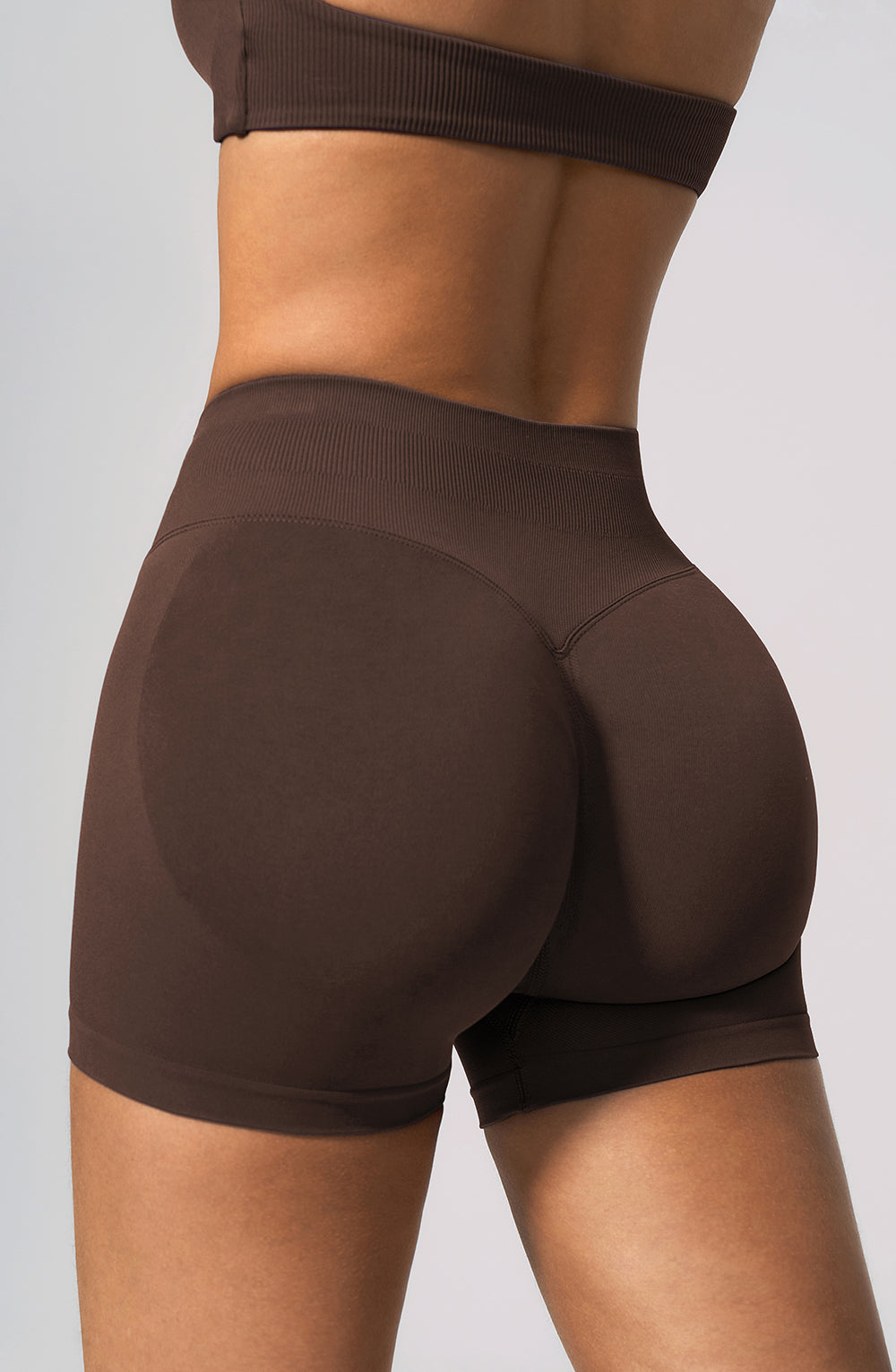 Halo Seamless Shorts